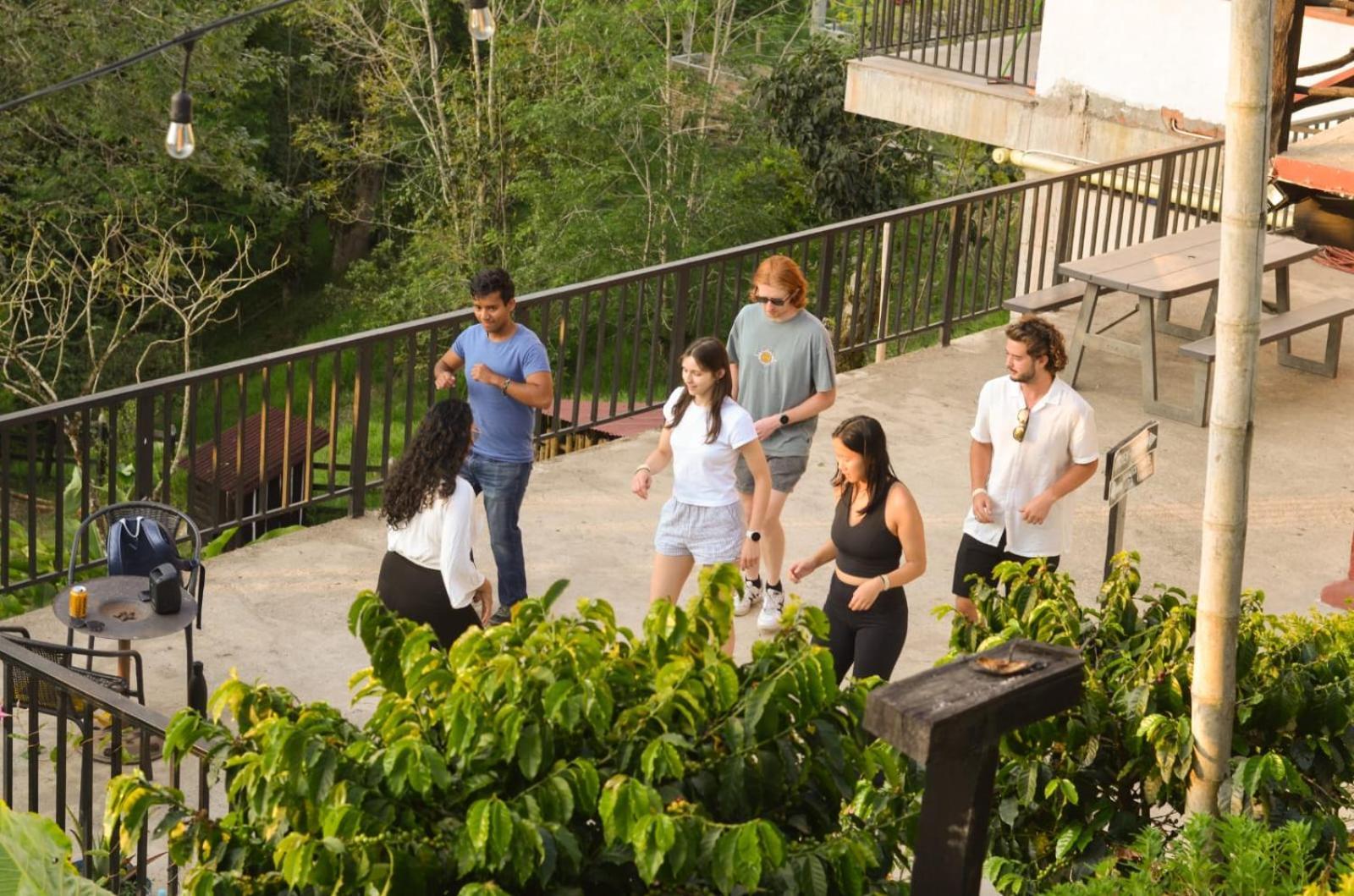 Coffee Tree Boutique Hostel Σαλέντο Εξωτερικό φωτογραφία