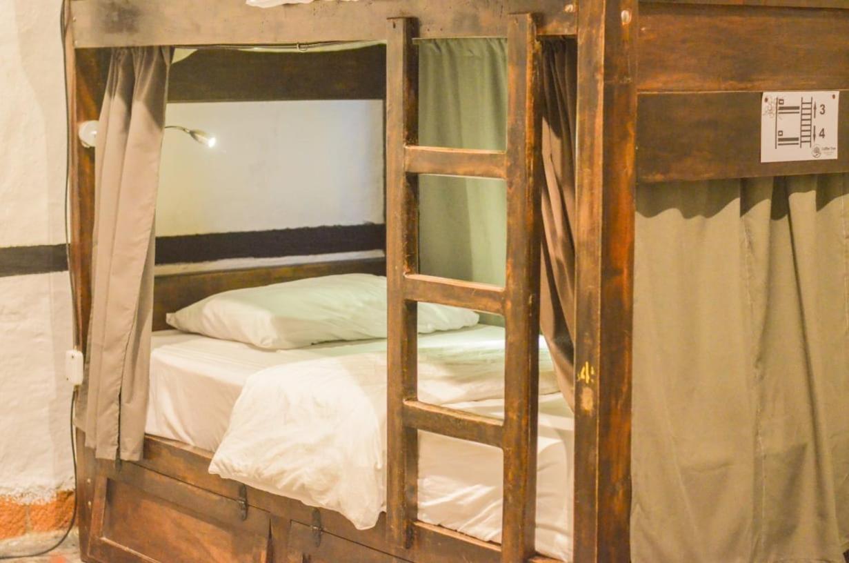 Coffee Tree Boutique Hostel Σαλέντο Εξωτερικό φωτογραφία