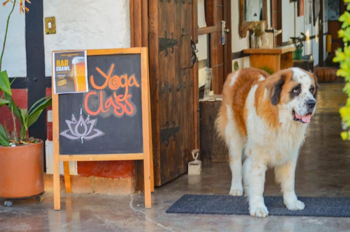 Coffee Tree Boutique Hostel Σαλέντο Εξωτερικό φωτογραφία