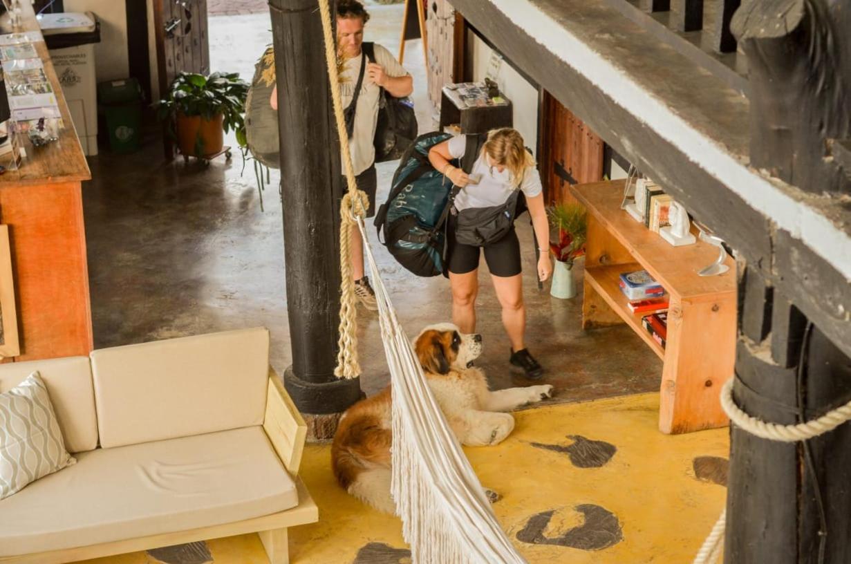 Coffee Tree Boutique Hostel Σαλέντο Εξωτερικό φωτογραφία