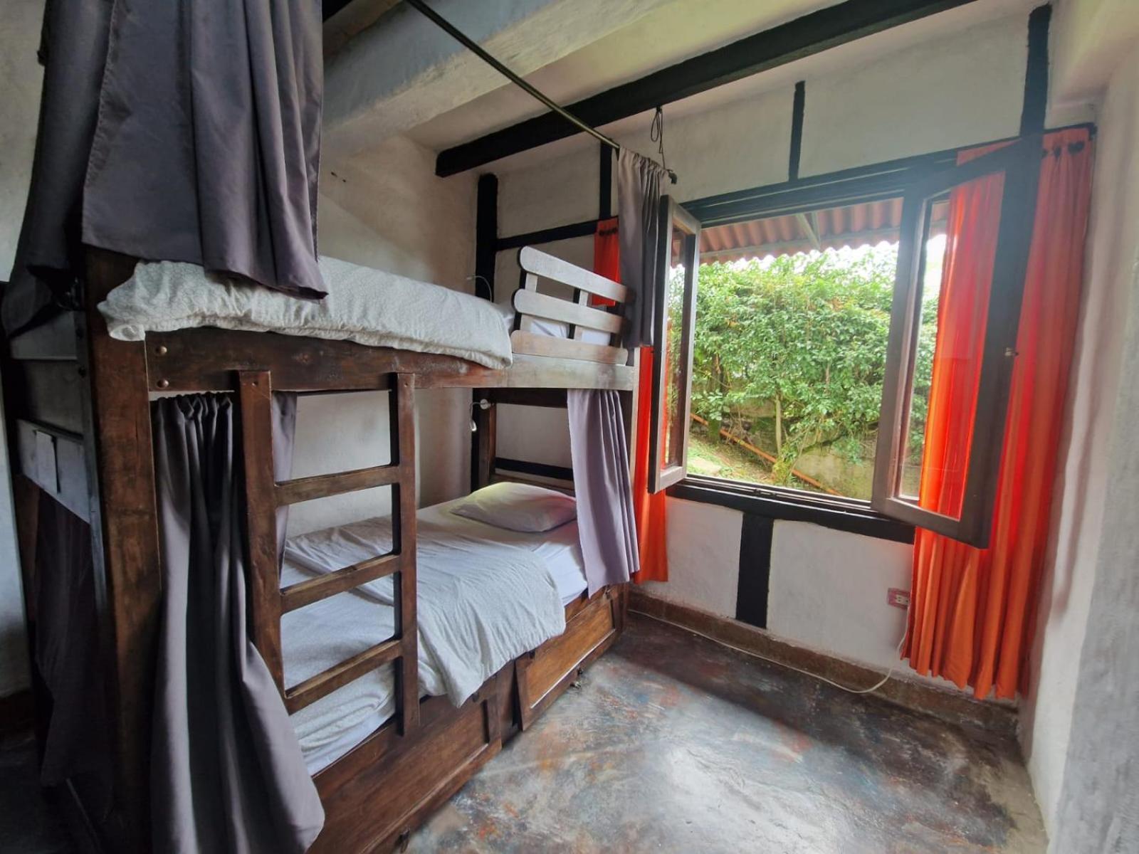 Coffee Tree Boutique Hostel Σαλέντο Εξωτερικό φωτογραφία