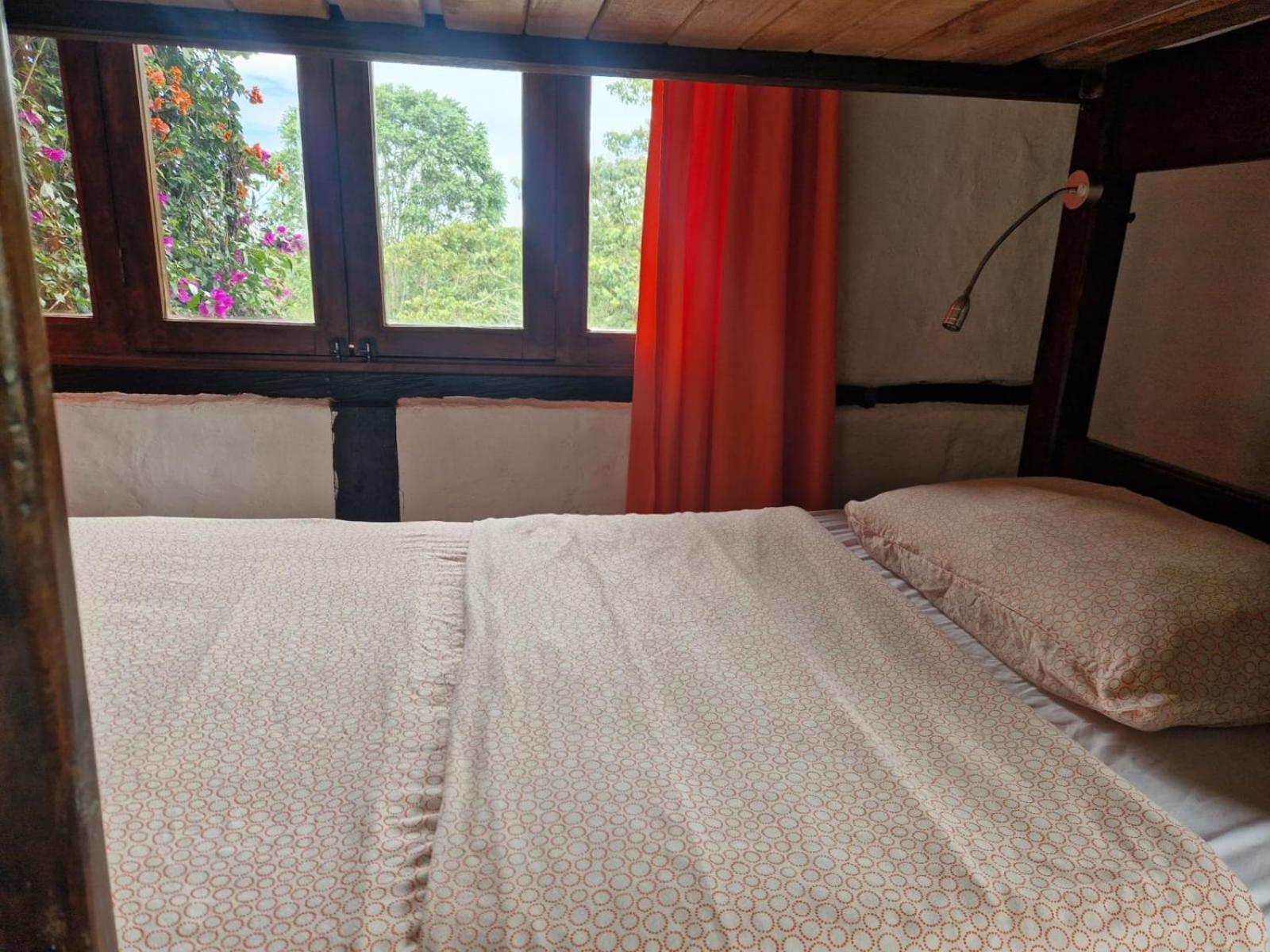 Coffee Tree Boutique Hostel Σαλέντο Εξωτερικό φωτογραφία