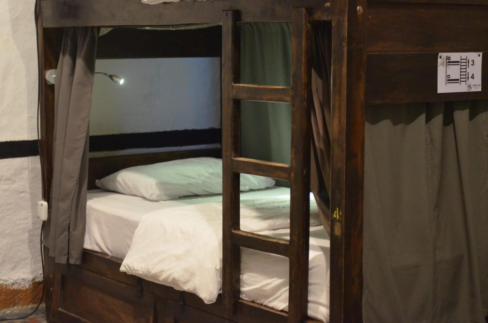Coffee Tree Boutique Hostel Σαλέντο Εξωτερικό φωτογραφία