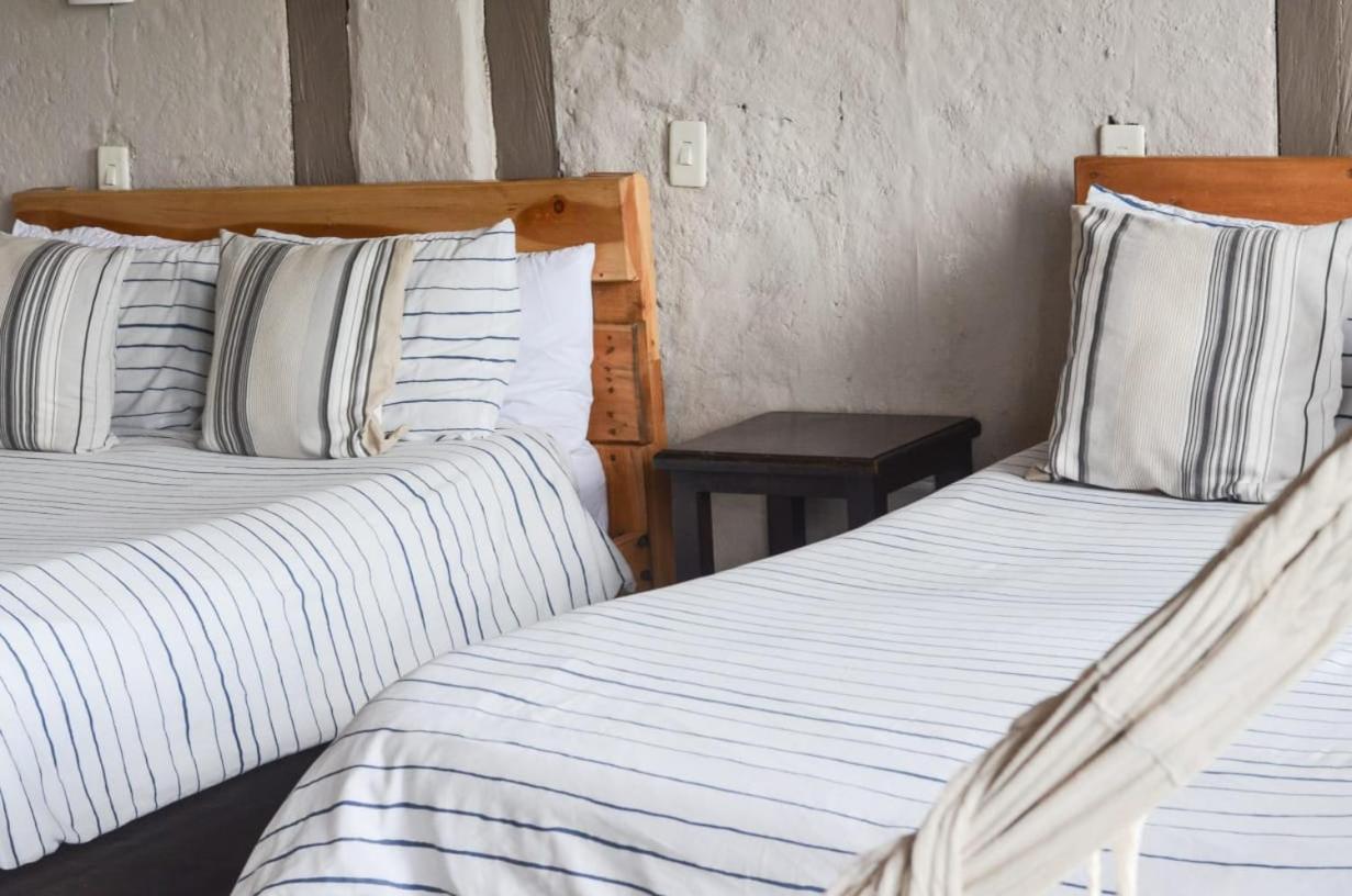 Coffee Tree Boutique Hostel Σαλέντο Εξωτερικό φωτογραφία
