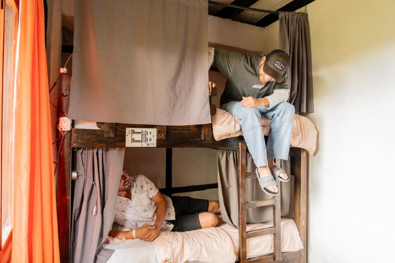 Coffee Tree Boutique Hostel Σαλέντο Εξωτερικό φωτογραφία