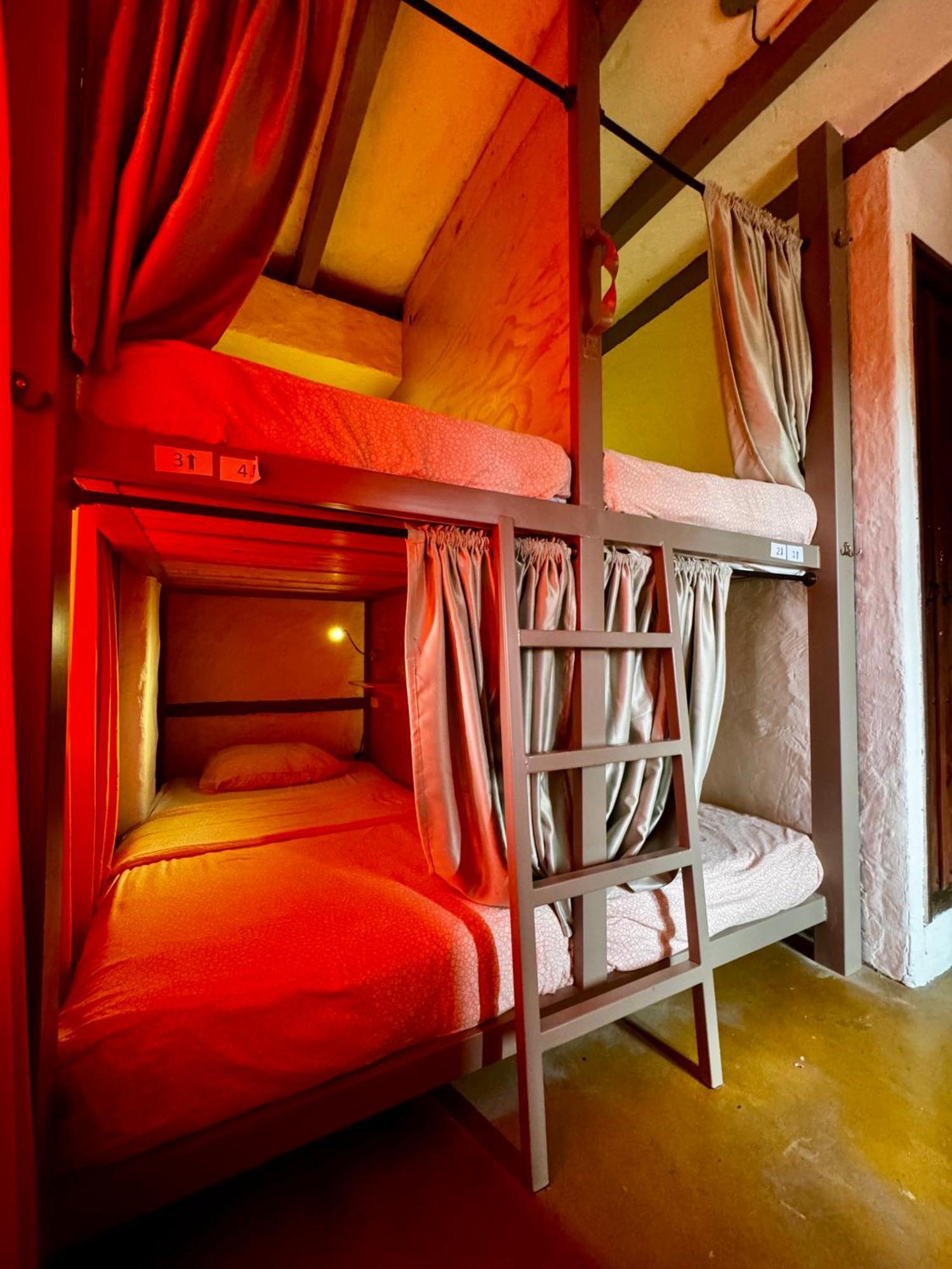 Coffee Tree Boutique Hostel Σαλέντο Εξωτερικό φωτογραφία